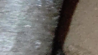 Desi wife daddy style fucking
