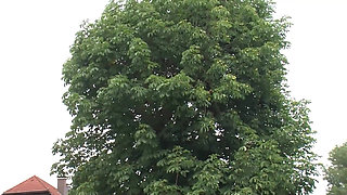 Couple fucks at the barn sex clip