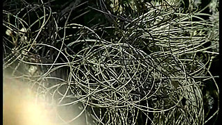 Wild Sex Between Work Colleagues in Their Free Time