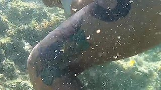 Underwater Anal Sex Cum Eat Mouth Piss