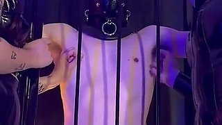 Teasing Our Caged Slave