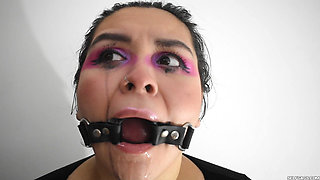Slut Training in Progress