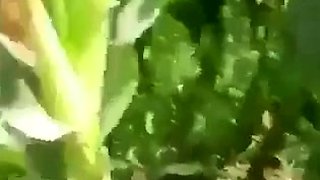 हरी घांस पर लड़की की