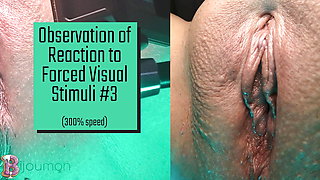 Porn Reaction Video 3: Erect the Clit - Made to Watch Porn