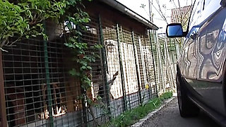 Nasty French blonde gets DPed and facialized in outdoor gangbang