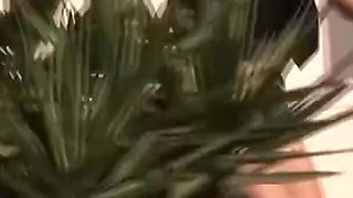 Gangster Fuck the Slut Gets Fucked Right