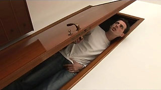 All in stepfamily story - DVD