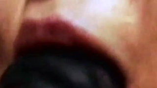 Wild Anal Parade Vol.1