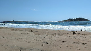 A fantastic pee on the beach