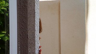 The Voyeur Next Door: Part 1 With Alexis Fawx, Ricky Johnson - Brazzers