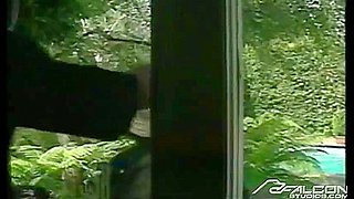 Buckle Up, Brat - Its Gonna Be A Wild Ride