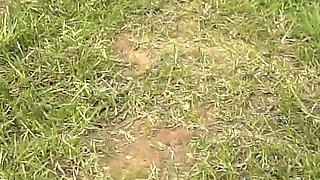 Piss Drinking Male Sex Slaves Whipping by Mistress