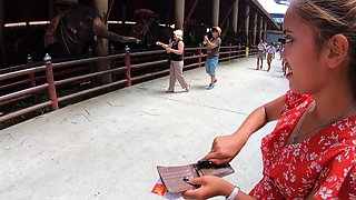 Elephants feeding with Thai girlfriend