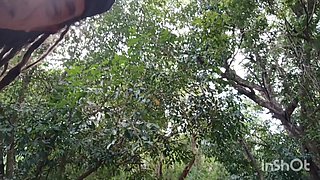 Hot Crown Trail