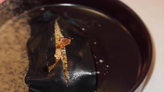 Two Beautiful Countries With Two Beautiful Girls Angel Youngs And Marina Gold