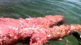 Naked Swimming MILF at the Beach