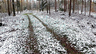 Heating and beating up her tits in icy woods