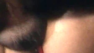 Eternal Passion