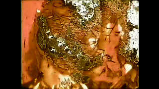 The Madness of My Vagina