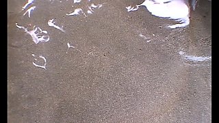 Chloe masturbates in public