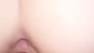 Asian Angel 25032