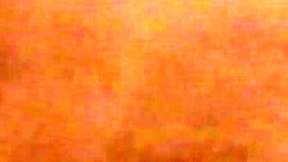 My Wife's Sister Loves to Suck My Cock When We Are Alone