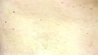 Wife Taking Double Creampie in Pussy in Amateur Homemade Threesome Sex - Milky Mari