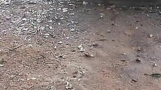 My Step Daughter Before Being Seduced