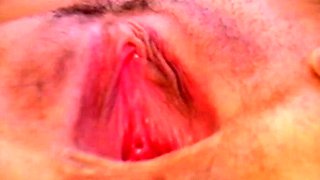 Peek a Boo There s The Pussy