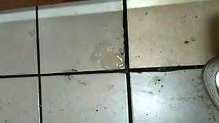 Korean Amateur Sucks Cock in Bathroom Gloryhole