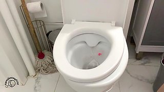 Toilet Pee 4 Videos Compilation