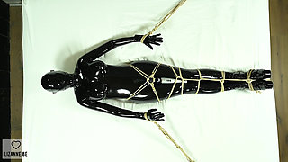 Bound and Vibed