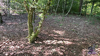 Wild Outdoor Fuck - Before Picnic