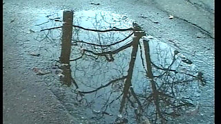 Lisa Fucks Everywhere and Takes Everything in Her Mouth, Asshole, and Pussy.