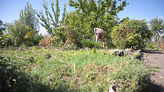 Watching Hot Neighbor Working in Garden