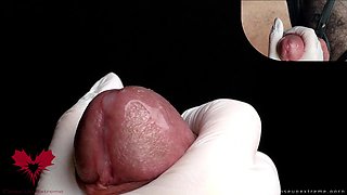 Glans Game with White Latex Gloves in Super-closeup