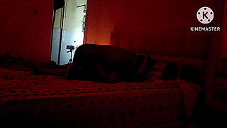 Horney Bhabhi Given Her Pussy to Fuck