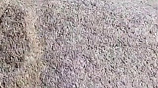 Fucking the Hottie's Ass on the Beach