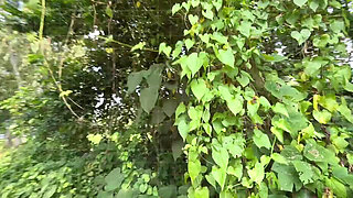 Bangla Choti golpo student and teacher best performance student