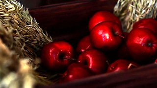 Kalinka Fox Holo Spice and Wolf Cosplay Patreon Video