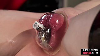 Stunning horny bae pussytoyed by master