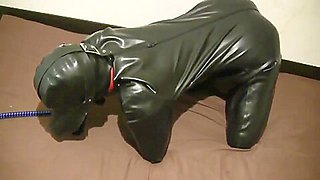 Japanese latex doggy girl bondage
