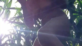 Julie naked in the cornfield