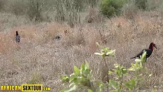 Wild cunt nailing with African Awahles