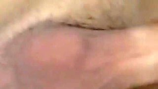 Husband Grabs the 18-year-old Boy's Dick to Introduce Him Without a Condom