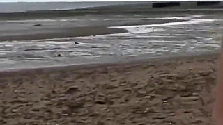 On the Beach