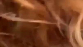 This Is What I Love to Do on My Perverse Holidays....