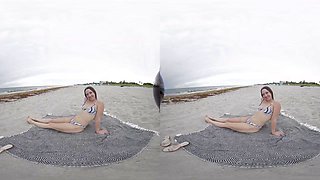 Beach Pickup - 3DPickup