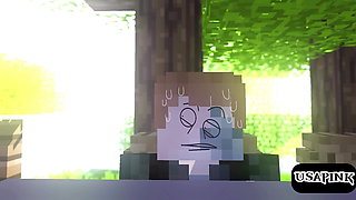 animated Minecraft porn video -- animation Sex