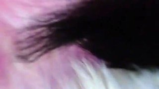 Red Rubber Femdom Mistress Solo Fetish Dominatrix Eva Latex BDSM Big Ass MILF Hot